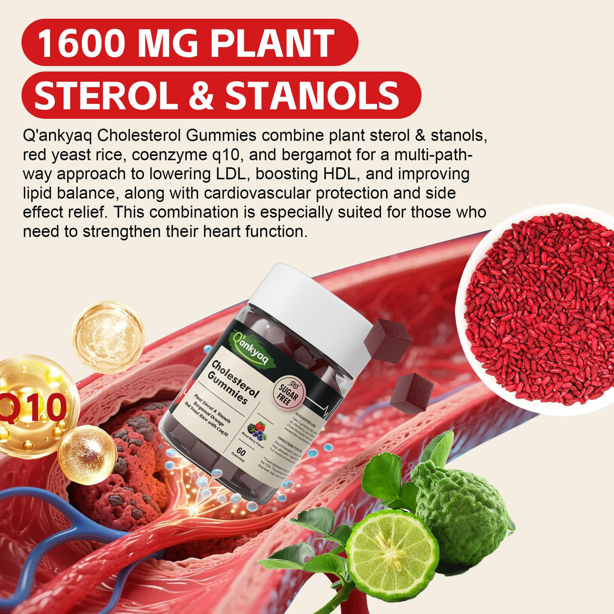 Plant Sterol Gummies — view 6