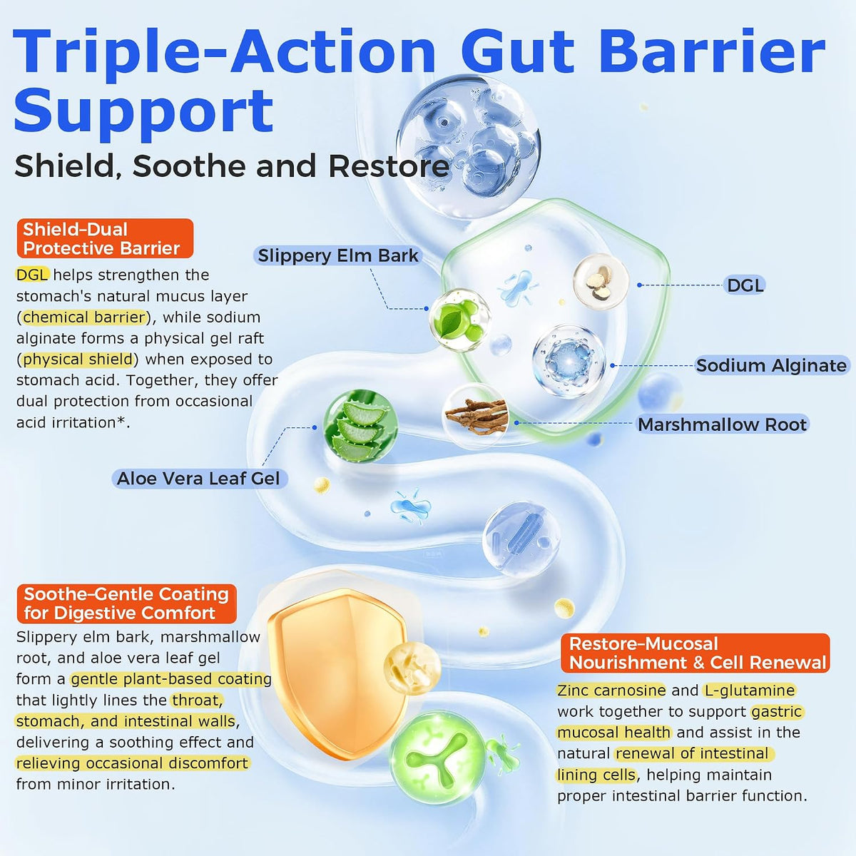 DGL Gummies with Zinc Carnosine — packaging detail
